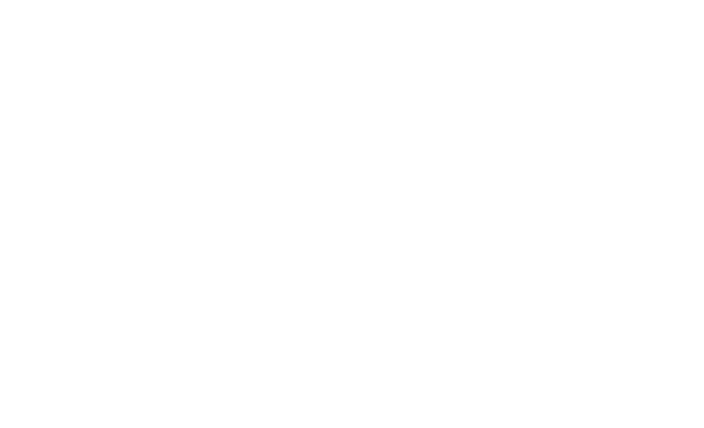 Spotmarked logo white